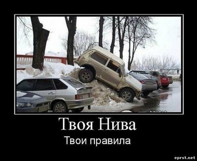 ТВОЯ НИВА ТВОИ ПРАВИЛА.jpg