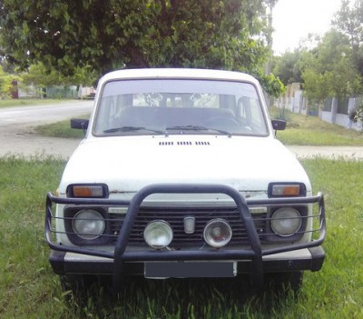 кенгуру.jpg (76.95 КБ) 1963 просмотра кенгуру.jpg