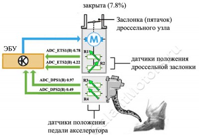 Педаль.jpg