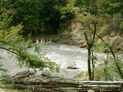 PICT0005.JPG